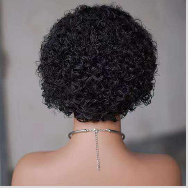 Playful Short Curly Wig